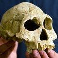 Uus avastus: arvatav jääaeg pühkis 1,1 miljonit aastat tagasi varajased inimesed Euroopast minema