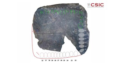 Hispaaniast leitud kivitahvel