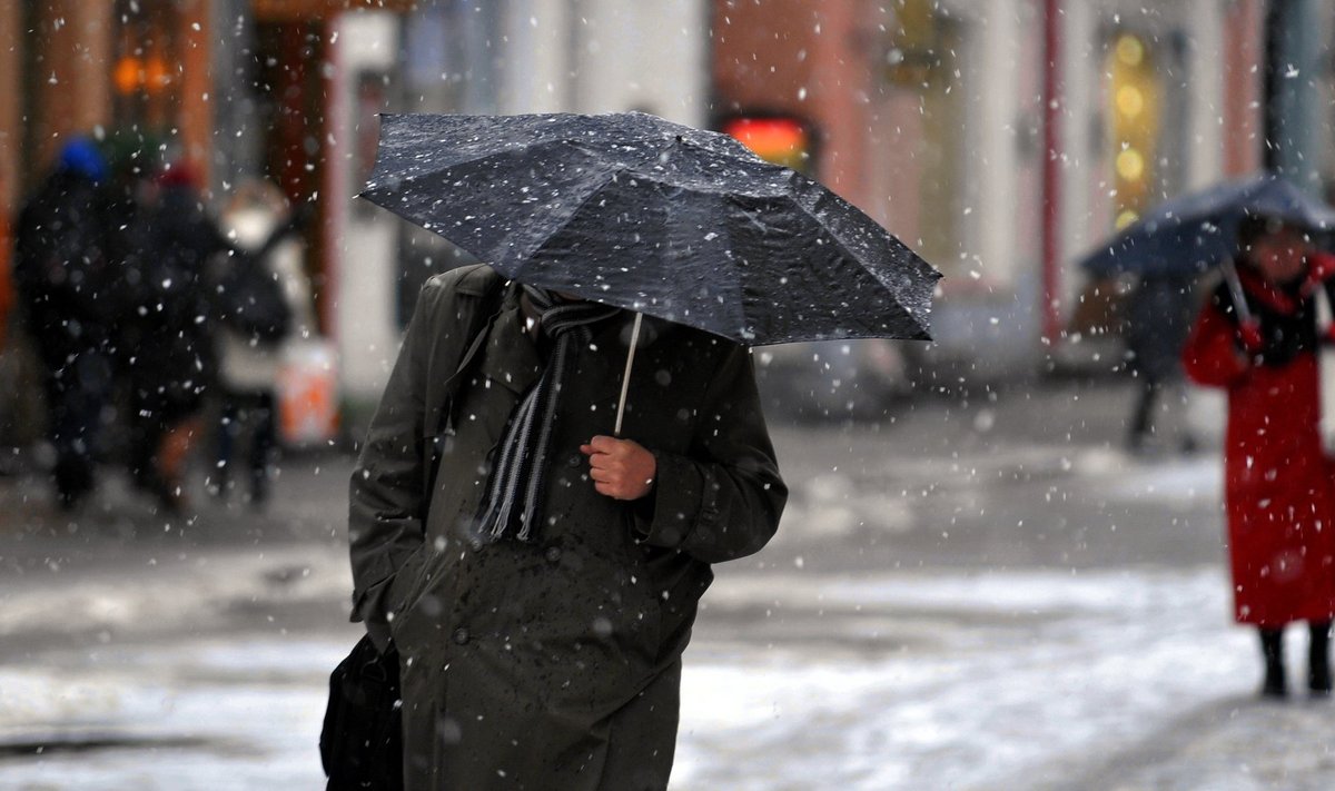 Eestis on talvekuud  olnud  sellised, et ilma vihmavarjuta ära õue mine.