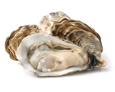 Austritel on aastasadu olnud maagilise toidu aura, seda molluskit on peetud ka armurohuks.