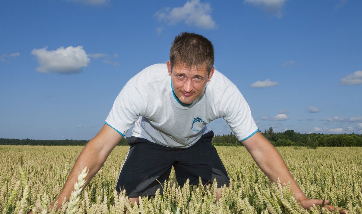 Rämsi Agro peremehel Margus Klaisil õnnestub kõige sagedamini nisukasvatus.