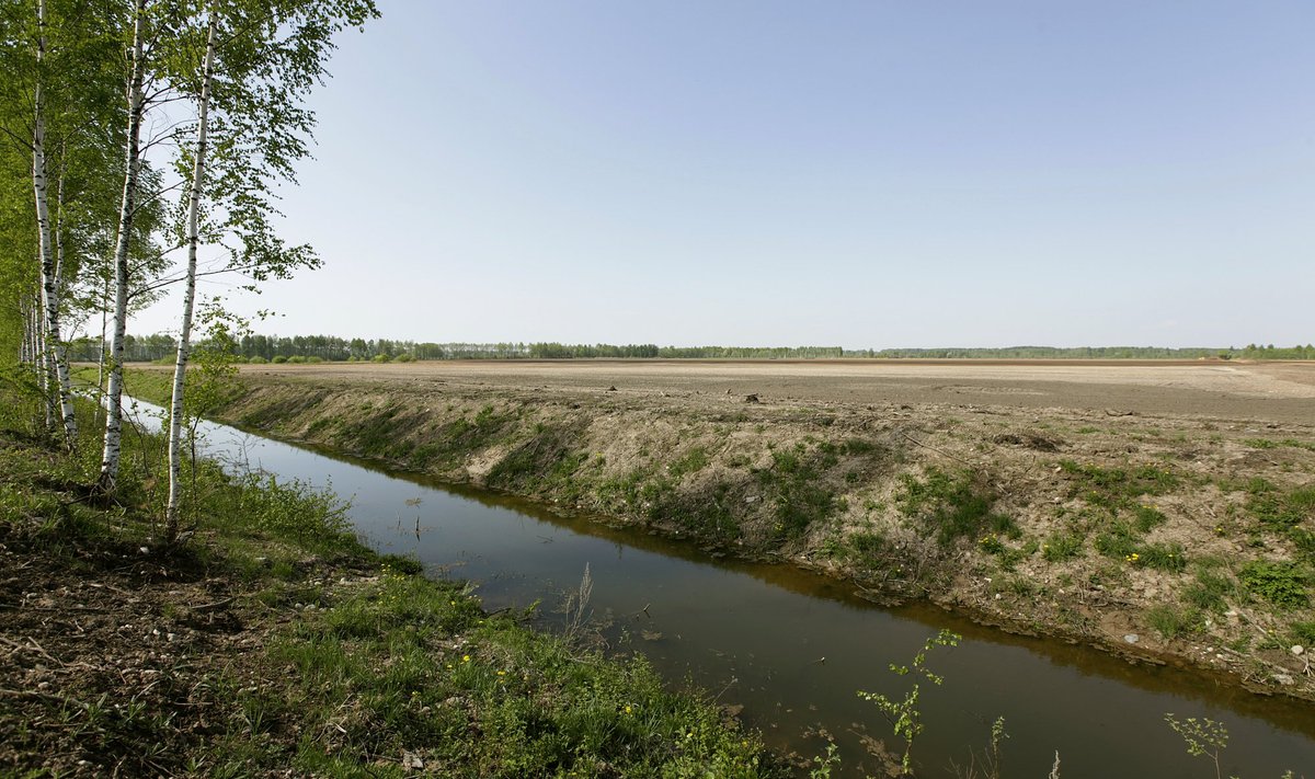 Keskkonnaregistri andmetel on Eestis kraavide kogupikkus ligi 70 000 km, kui jõgede ja ojade kogupikkus on ainult 19 000 km. 