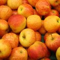 RETSEPT | Hõrk ja marjane õunakook, mis on kõhule kerge