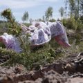 SUUR LUGU | Eesti mets peegeldab rahva traagilist ajalugu