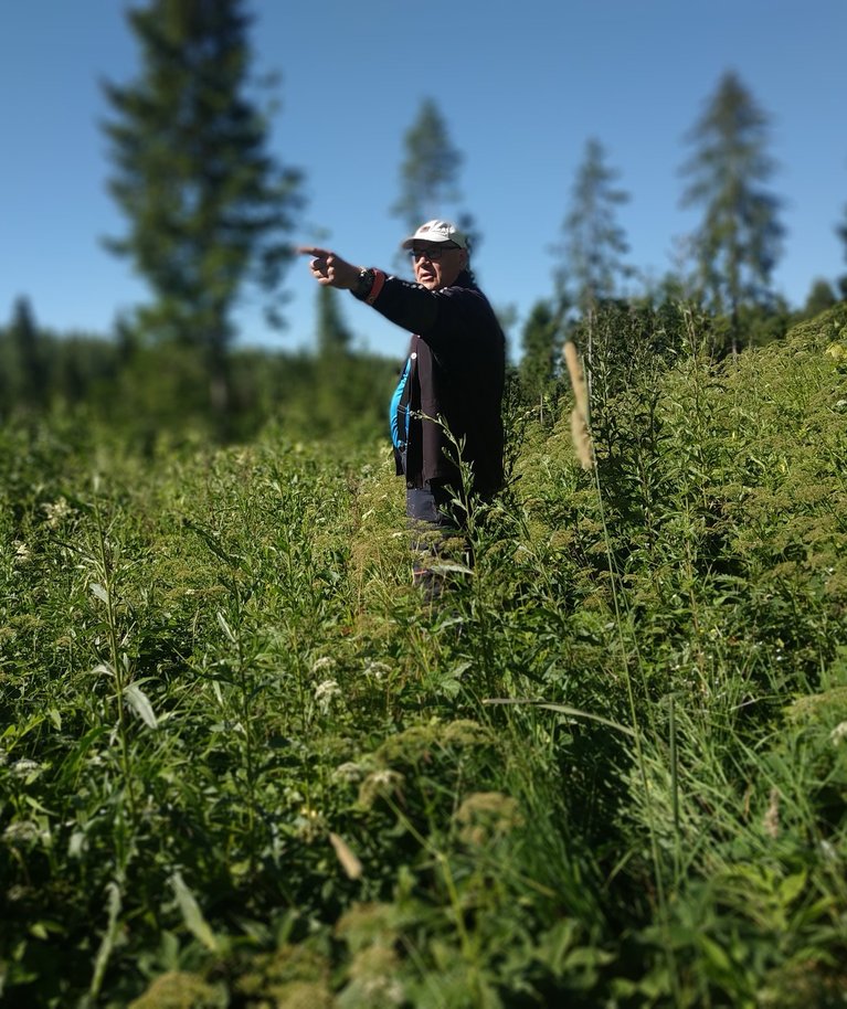 Ivo Valter: sinna saagu männik!