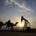 Tüli Katariga tõstis nafta hinda