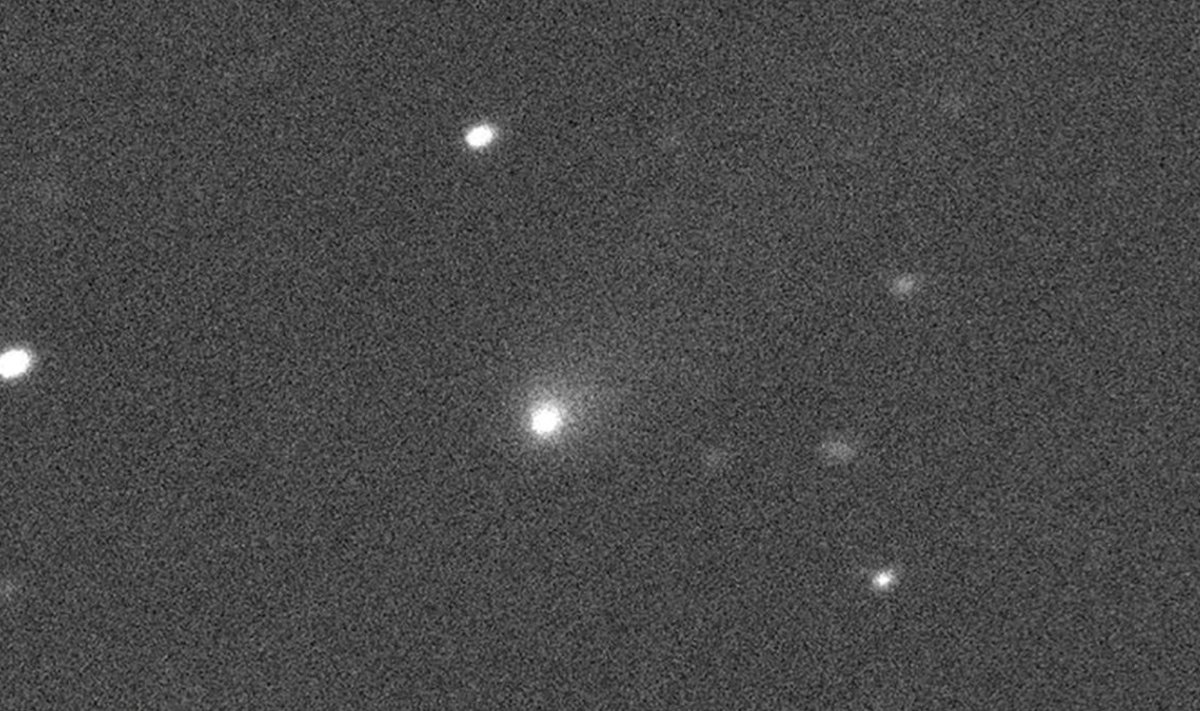 Comet C/2019 Q4 pildistatuna Hawaiil asuvast teleskoobist