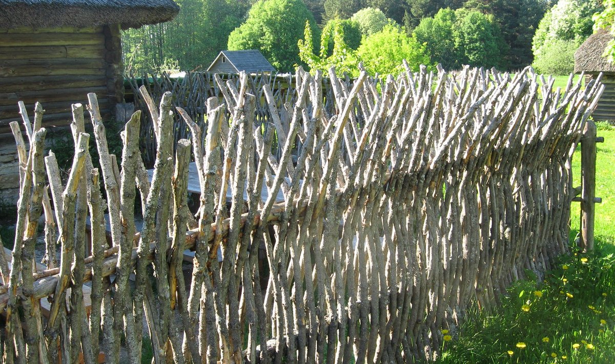 Varbaia tegemiseks sobib hästi materjal, mida leiab võsastunud metsadest.