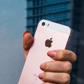 RIA предупреждает: в устройствах iPhone обнаружена уязвимость