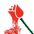 "Кровоточащие розы". Среди соцдемов — 165 человек, преступивших закон