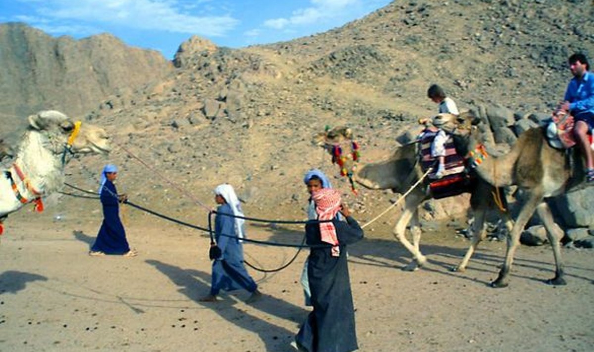 TURISTID KÖIE OTSAS: Kaamelisõit eikuhugi on üks Egiptuse turismitööstuse leivanumbreid.
