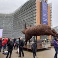 Euroopa loomakaitsjad ja eurosaadikud tähistasid loomakaitse ajaloo edukamat kodanikualgatust – 1,6 miljonit allkirja loomade heaks!