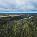 Kes on Eesti metsaomanik? Statistiline portree