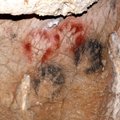 Kummalised koopamaalingud viitavad, et ürginimesed raiusid oma sõrmi otsast