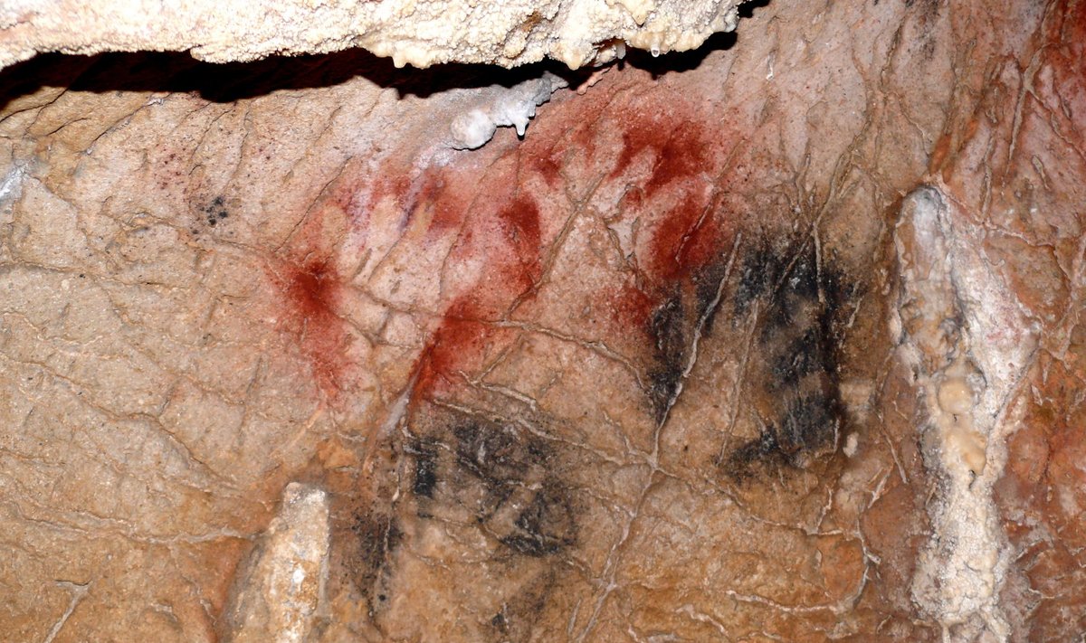 Käte kujutised Grotte de Gargas' koopas