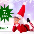 VIGURDAV PÄKAPIKK | Seitsmes päev: appi, kuidas päkapikk telekasse kinni jäi?