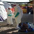 Красный Крест признал пропажу 5 млн долларов пожертвований на борьбу с Эболой