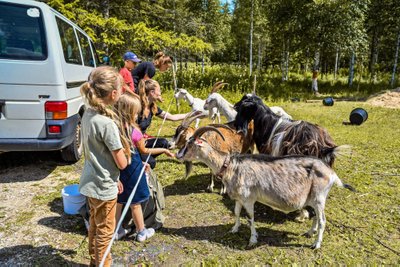 Soomaa kodukohvikutepäev