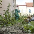 FOTOD! Keskerakonna roheline ninasarvik redutab erakonna peakontori hoovis õnnetult võsas