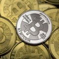 Max Kaur: bitcoini-maailmas kohtuvad maailma edukaimad miljardäridest investorid ja kriminaalkroonika