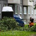 FOTOD | „Olukord on hull!“ Mahasaetud puud ja suured veelombid. Tallinnas Akadeemia teel on nädalapäevi kestnud veeavarii
