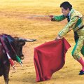 Впервые с 1985 года на корриде в Испании погиб матадор