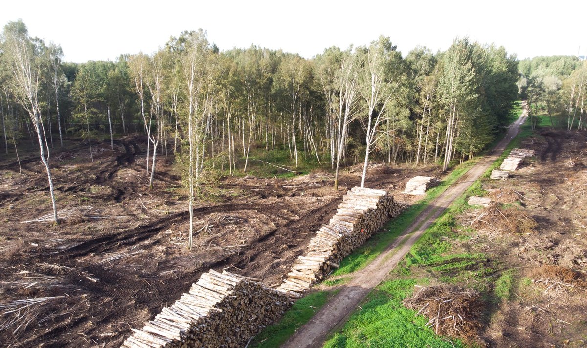 Eesti metsanduse ja maakasutuse sektor on esimest korda kliimamuutusesse panustaja. 