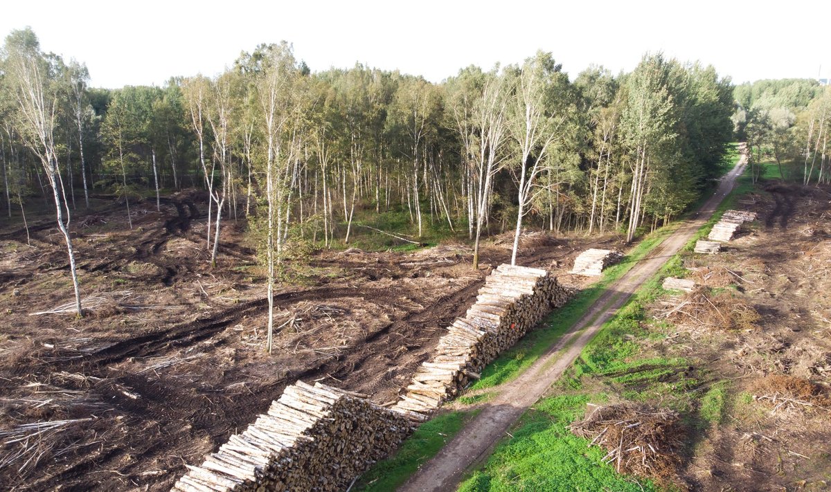 Eesti metsanduse ja maakasutuse sektor on esimest korda kliimamuutusesse panustaja.
