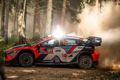 Kaunis metsatukk ja Ott Tänak Läti MM-rallil.