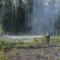 ФОТО и ВИДЕО: В Вильяндимаа загорелся молодой лес