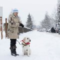 Lumine hommik juhtkoeraga läbi pimeda silmade: ümbrus on öö jooksul kõvasti muutunud, kuhu me sinuga minna saame?