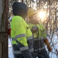 REPORTAAŽ | Rinnuni lumi ja liinideni võsa: ulatuslikke rikkeid parandatakse Saaremaal veel nädal pärast tormi