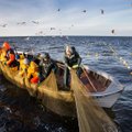 Kalurite eestkõneleja Esta Tamm: see on hull, kui kurdid on keskkonnakaitse ametnike kõrvad