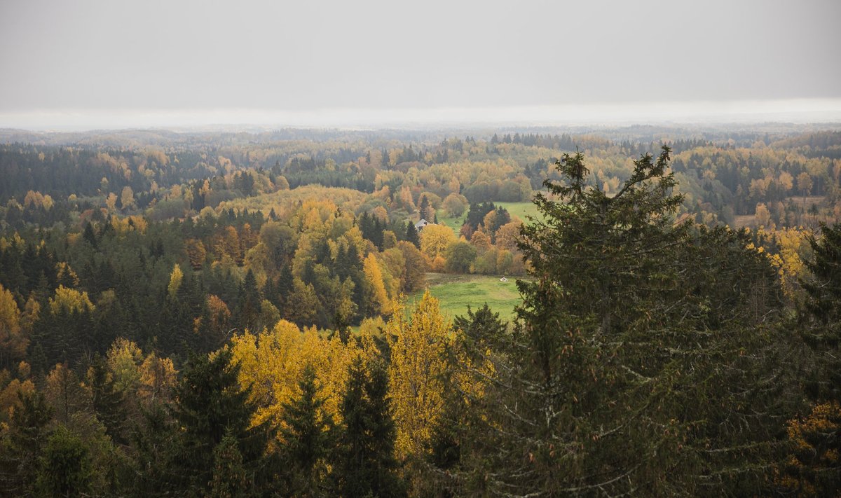 Vaade Munamäelt