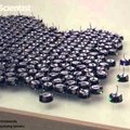 1024 minirobotist - kilobotist - koosnev sülem on võtnud õppust sipelgatelt