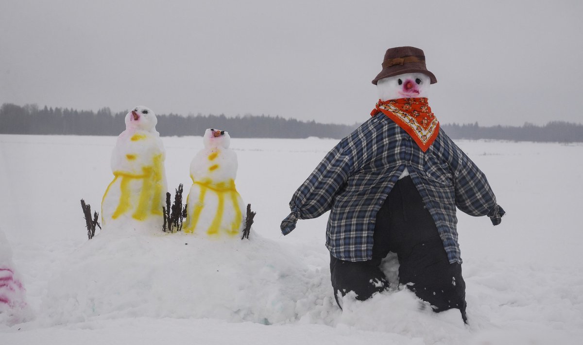 STARDIKS VALMIS: Idee poliitikasse minna kangastus lumememmel juba 2019. aastal, kui ta osales Väätsa lumememmede paraadil.