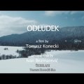 POOLA FILM: Tomasz Konecki „Üksik uitaja“