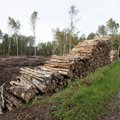 Metsateatise eest tuleb alates sellest kuust maksta ka siis, kui raiet ei lubata