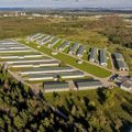 АО HKScan Estonia реновировало крупнейшую в Эстонии бройлерную ферму