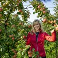 Konkurss AASTA PÕLLUMEES | Ille Kasvand pakub parimaid kodumaiseid õunasorte