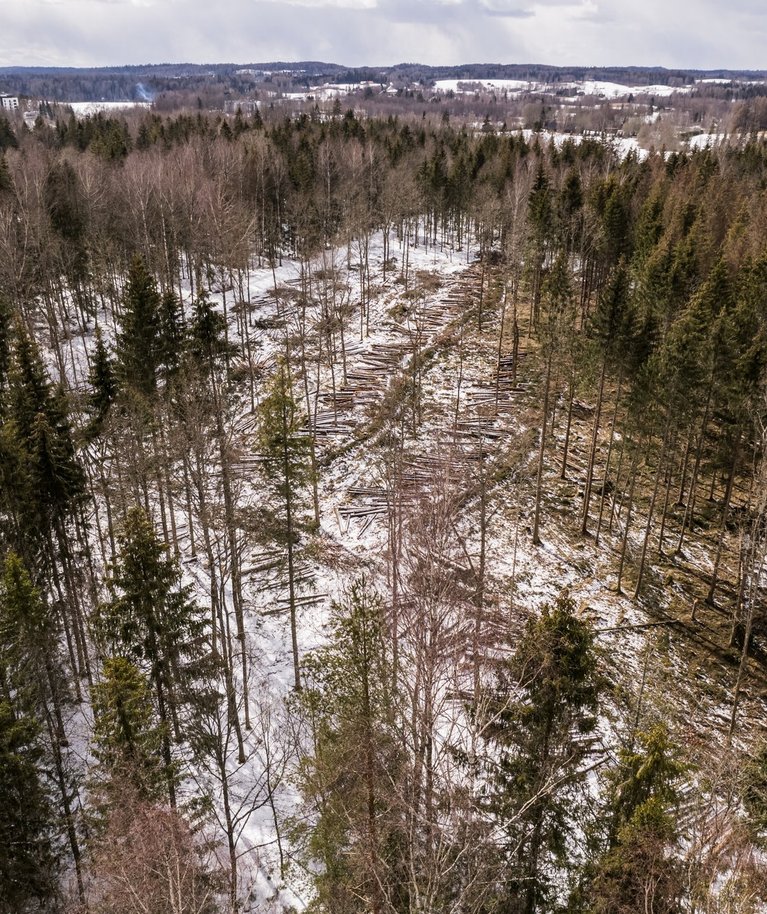 Nii nägi varakevadel välja kohtuasja tõttu pooleli jäänud üraskitõrjeprojekt Kullalaanes.