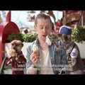 FOTOD JA VIDEO: Lõpp üksindusele! Surikaadid päästsid hääletava Macaulay Culkini ja viisid endise lapstähe lõbustusparki