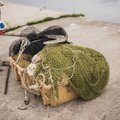 Большая уборка: за несколько дней Чудское озеро очистят от старых рыболовных сетей