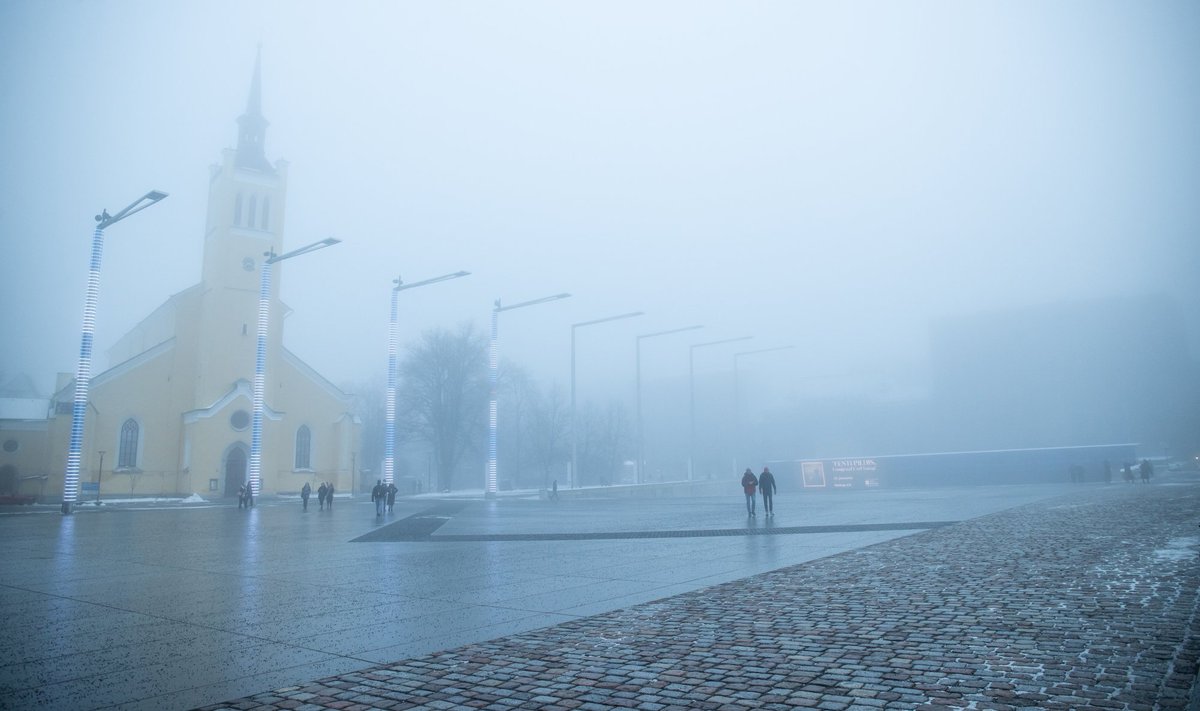 Туман в Таллинне. 21.01.2023 