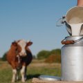 Uskumatu! Ühe ettevõtte sama piimatoode maksab Eestis kaks korda rohkem kui Soomes