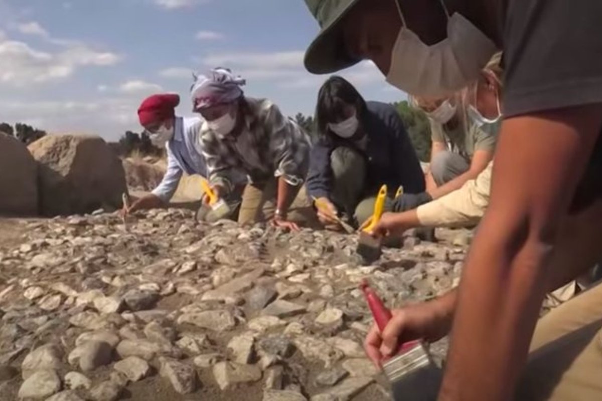 Мы видим в костяных коньках найденных археологами. Мозаика найденная в Турции. Камень возрастом 3500 тыс лет. Ржепецкий найден в Турции.