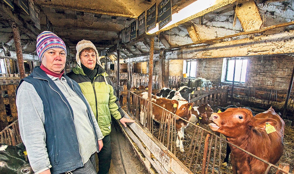 Vasikatalitaja Irja Sannamees ja farmi juhataja Eve Kurs tunnistavad, et  hirm tuleviku ees tekitab stressi ja pingeid.