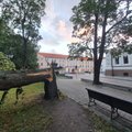 FOTOD | Torm murdis Toompeal suure puu