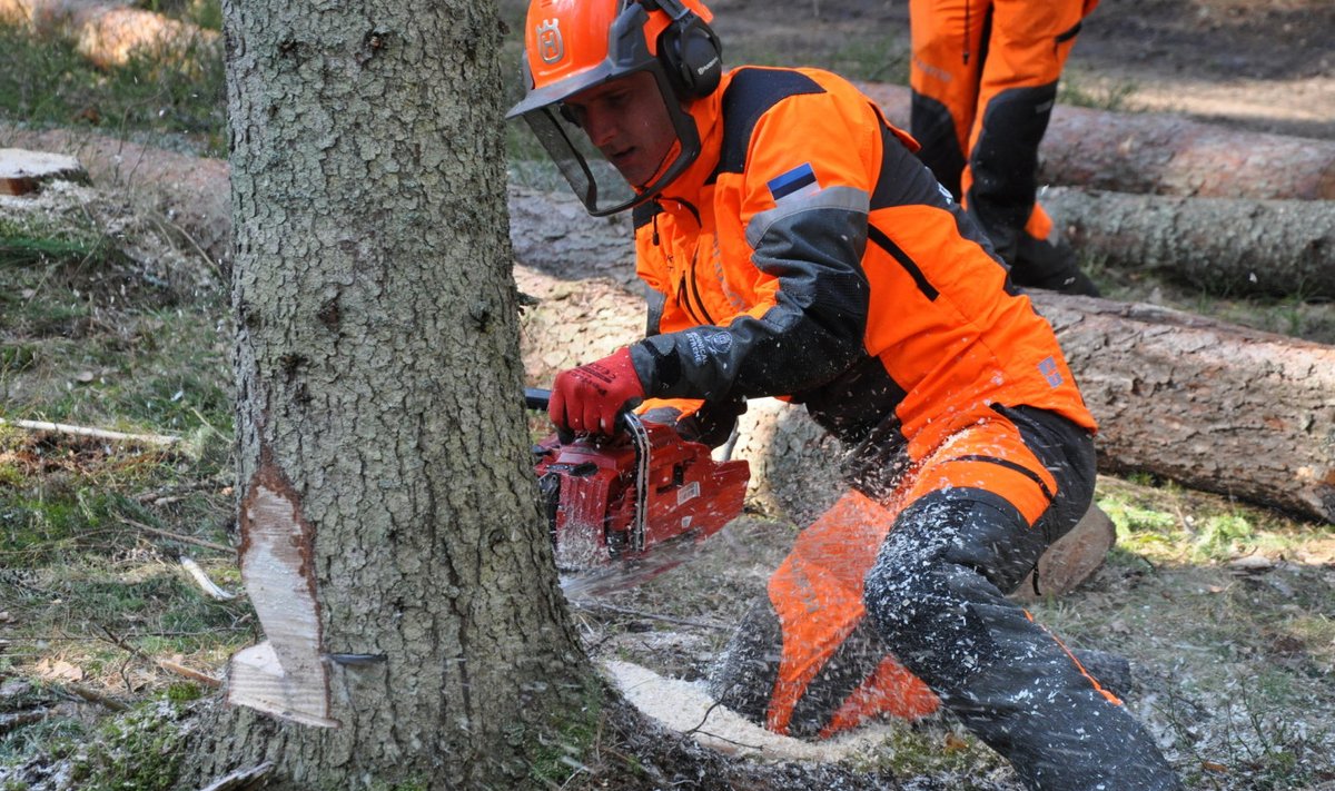 Kuigi metsatöö käib tänapäeval peamiselt masinatega, on tulevastel metsameestel vaja omandada ka käsitsitöö oskused.