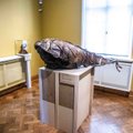 FOTOD | Kadrioru kunstimuuseumis avati kunstniku ja looduse suhet avastav näitus